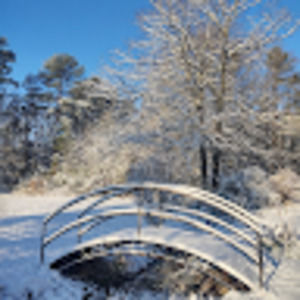 Meet your Posher, Sandy